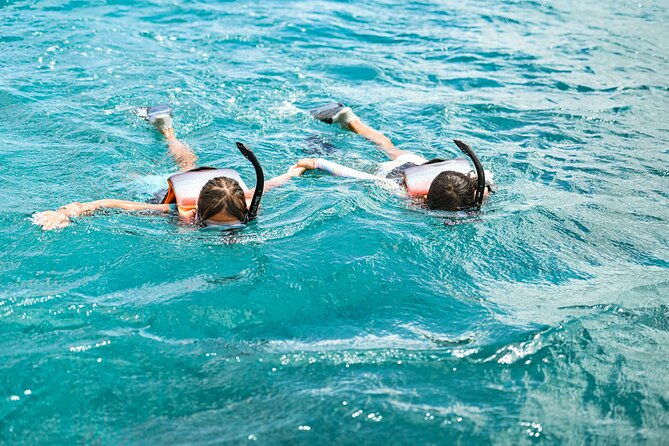 venture-wildlife-snorkel-charter-from-ko-olina