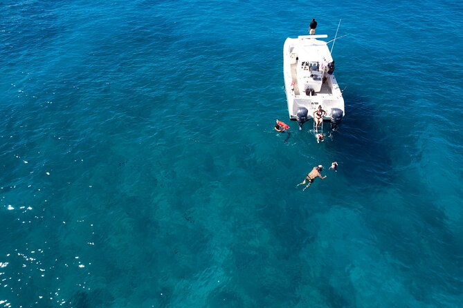 venture-wildlife-snorkel-charter-from-ko-olina