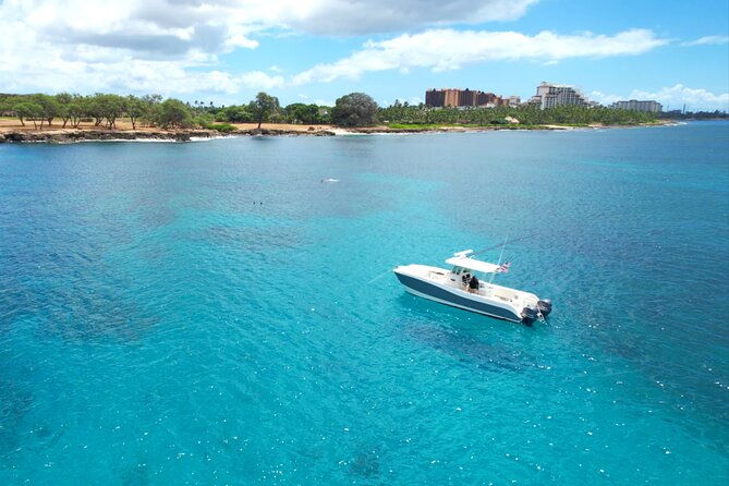 venture-wildlife-snorkel-charter-from-ko-olina