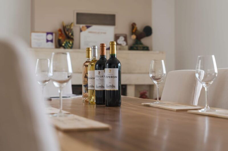 verac-chateau-leperon-wine-tasting-and-masterclass