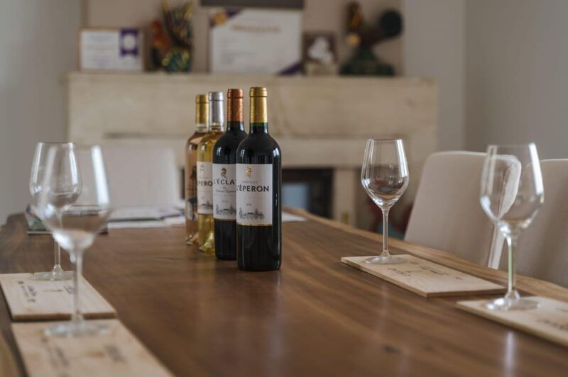 verac-chateau-leperon-wine-tasting-and-masterclass