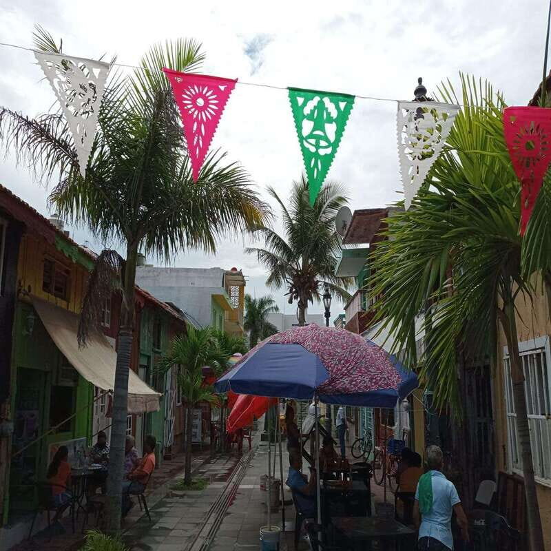 Veracruz: A Journey of Color, Flavor and Heritage - Why This Tour Offers Real Value