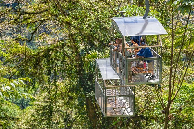 veragua-rainforest-walk-tram-tortuguero-boat-tour-limon-shore-excursion