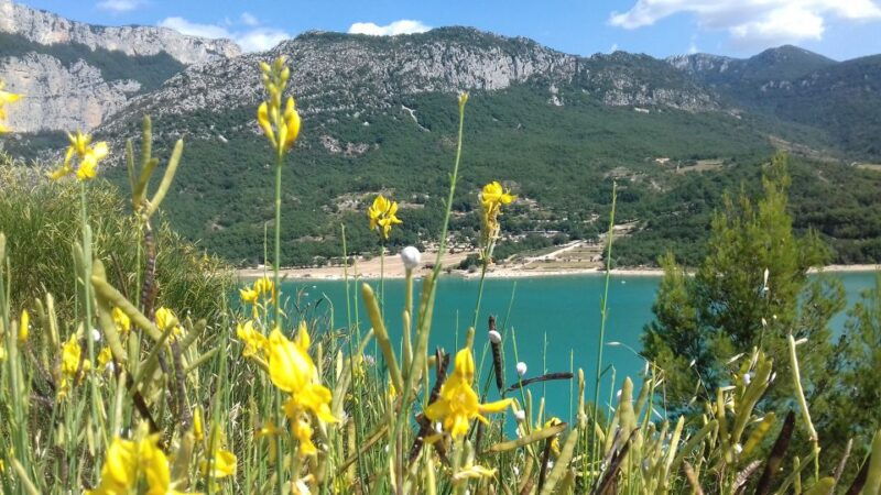 verdon-gorge-the-grand-canyon-of-europe-lake-and-lavender-2