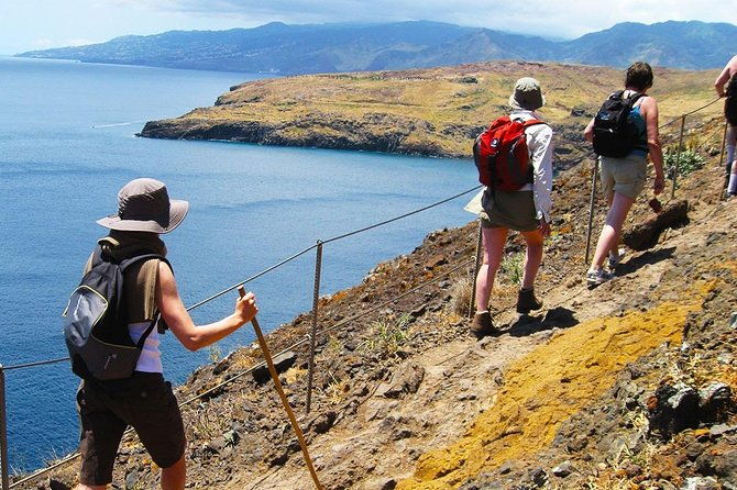 vereda-da-ponta-de-sao-lourenco-trail-walking-tour-2