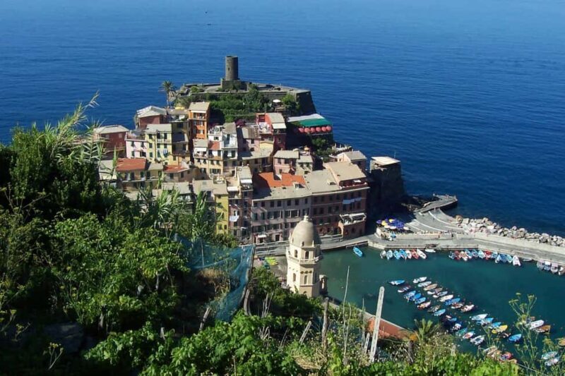 Vernazza (5 Terre): olive grove tour and oil and wine tasting - An In-Depth Look at the Tour Experience