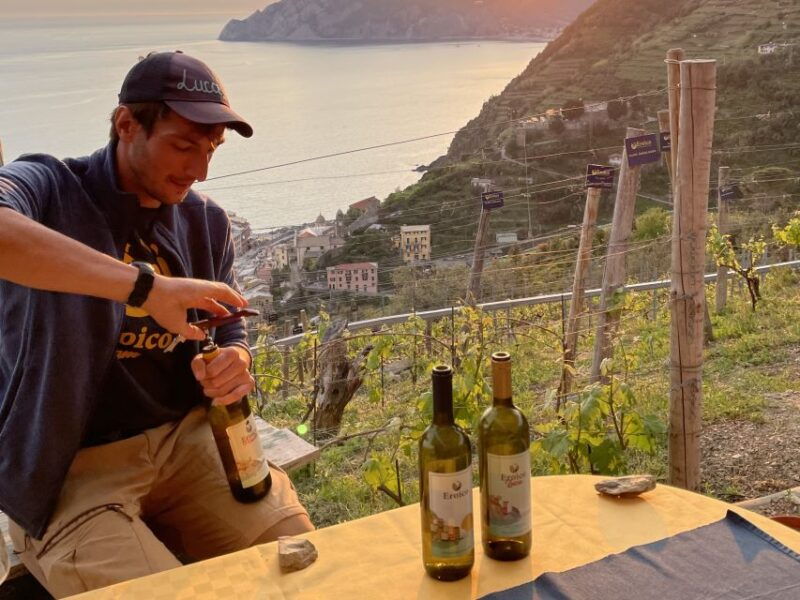 vernazza-panoramic-vineyard-trekking-tour-w-wine-tasting