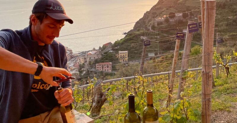 vernazza-panoramic-vineyard-trekking-tour-w-wine-tasting
