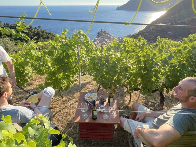 vernazza-panoramic-vineyard-trekking-tour-w-wine-tasting