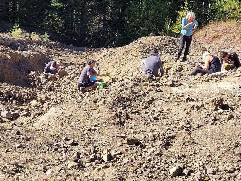 vernon-bc-dig-your-own-opals
