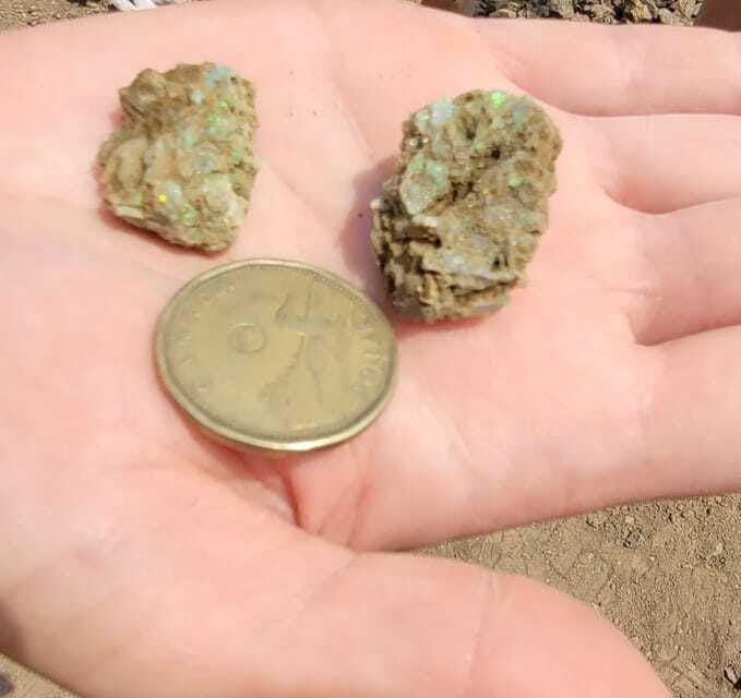 vernon-bc-dig-your-own-opals