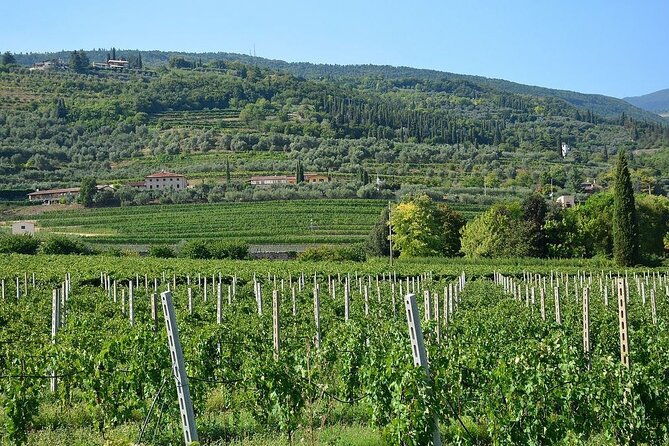 verona-and-amarone