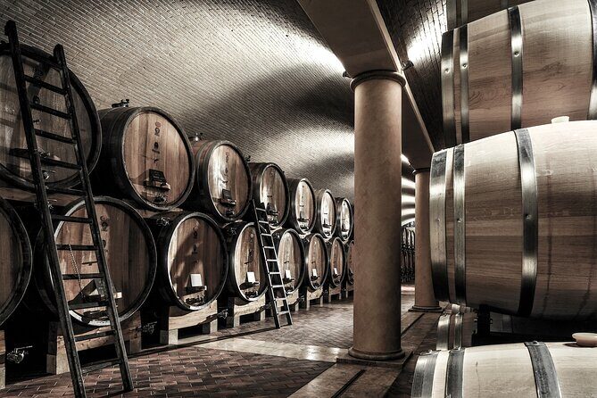 Verona area: Wine Tasting Experience in Valpolicella - What to Expect from Your Valpolicella Wine Tasting Tour