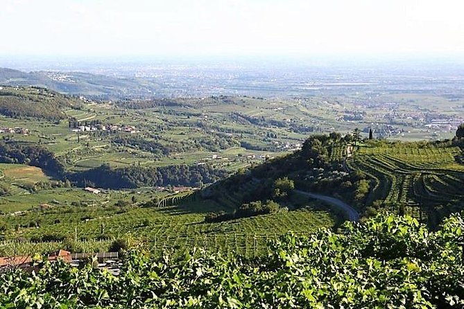 verona-art-city-valpolicella-wine-tasting-full-day-private-tour