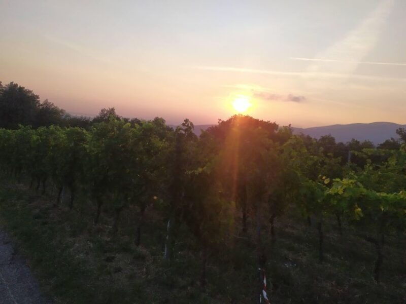 verona-best-trekking-best-view
