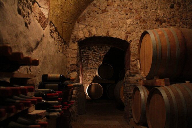 verona-cellar-tour-and-tasting-of-natural-wines