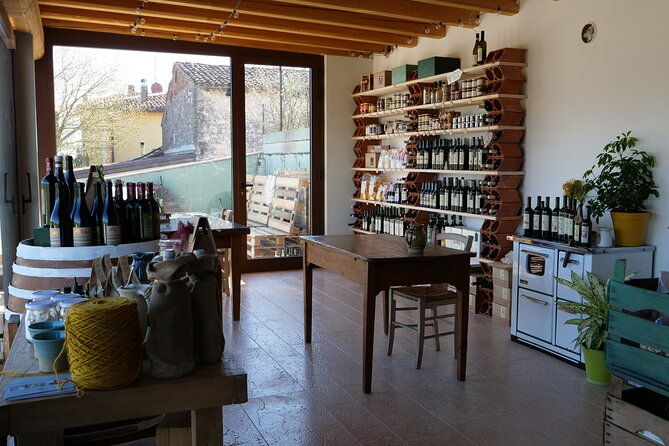 verona-cellar-tour-and-tasting-of-natural-wines