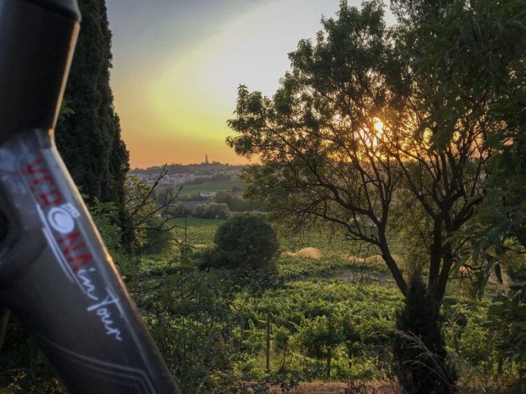 verona-custoza-e-bike-tour