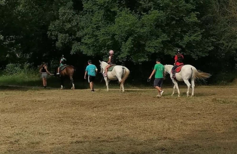 Verona: Horseback Ride Along the Adige River - Authentic Experiences and Real Reviews