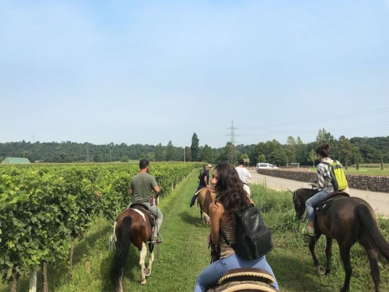 verona-horseback-riding-and-wine-tasting-experience