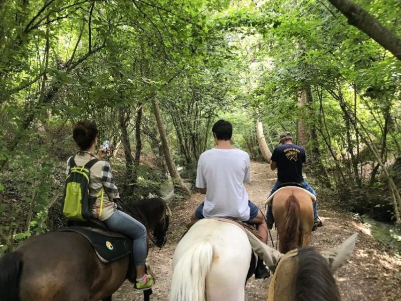 verona-horseback-riding-and-wine-tasting-experience
