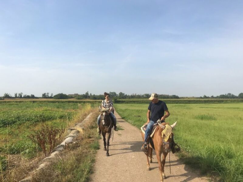 verona-horseback-riding-and-wine-tasting-experience