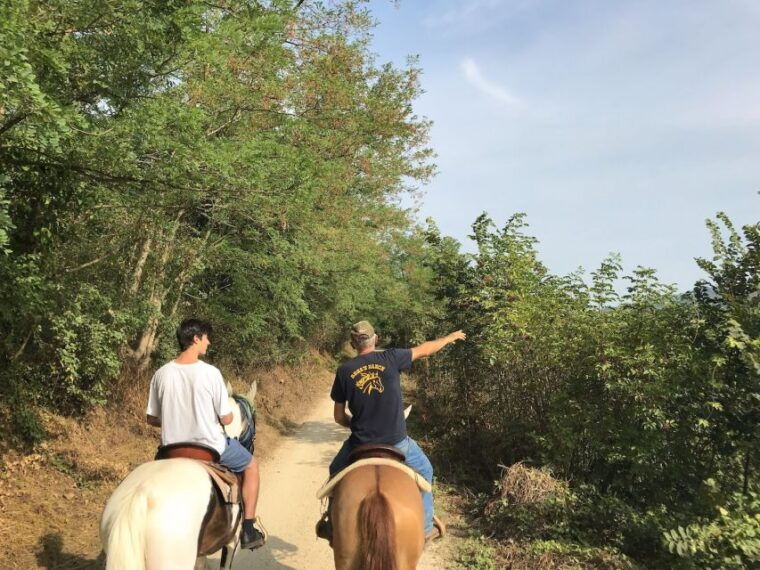 verona-horseback-riding-and-wine-tasting-experience