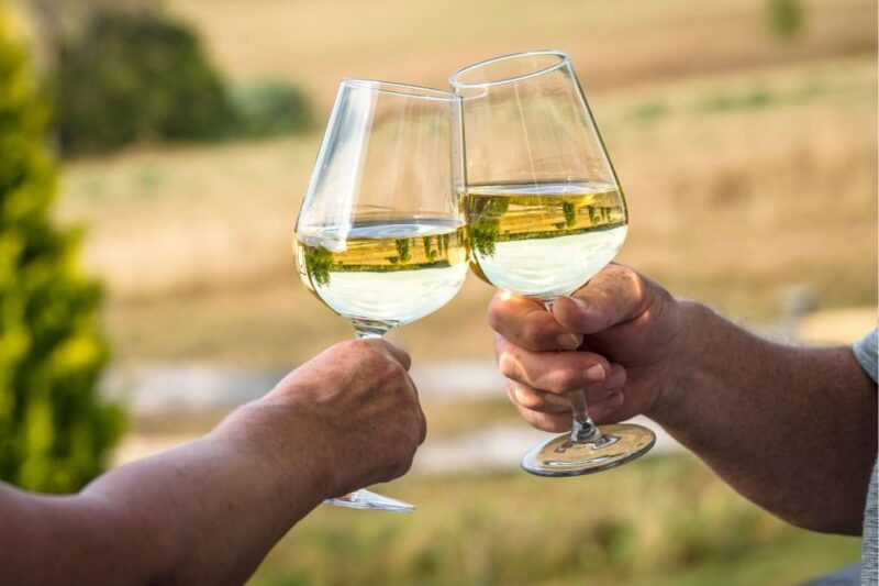 verona-private-tour-of-soave-and-amarone