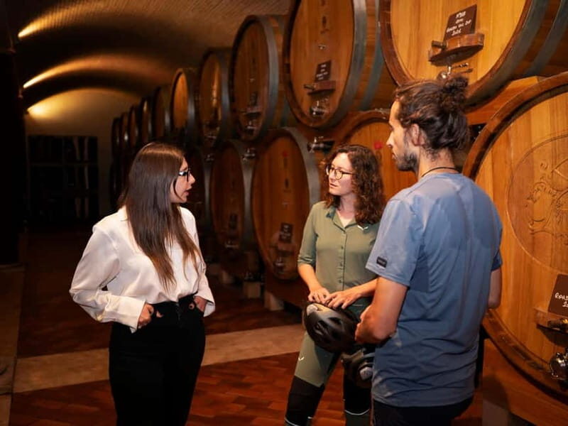 Verona: Valpolicella Wine Self-Guided E-Bike Tour & Tastings - Who Is This Tour Best For?