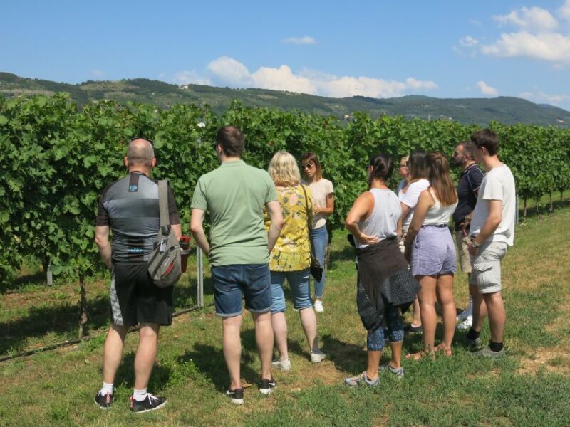 Verona: Valpolicella Wine Self-Guided E-Bike Tour & Tastings - Frequently Asked Questions