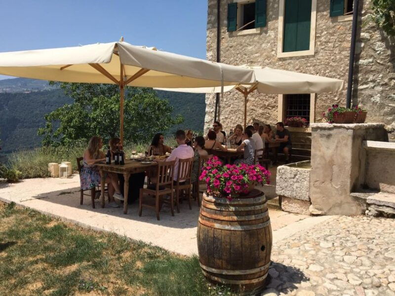 verona-vineyard-and-winery-tour-with-wine-tasting