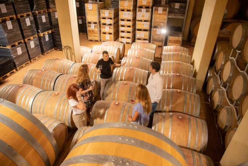 VERONA: WINE TASTING FOR THOSE WHO LOVE COMPARISONS - The Itinerary: A Step-by-Step Journey into Veneto’s Winemaking