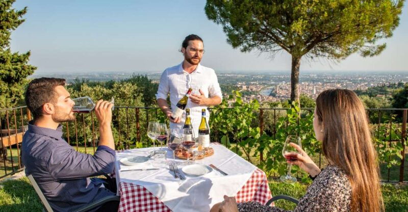 verona-wine-tasting-with-snacks-and-panoramic-city-views