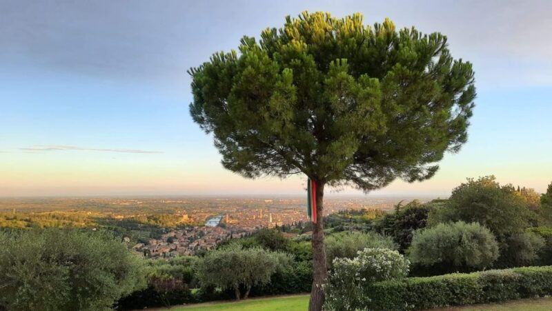 verona-wine-tasting-with-snacks-and-panoramic-city-views