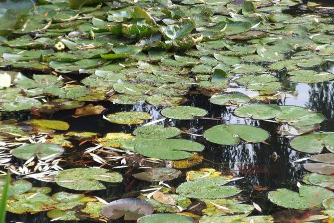 versailles-and-giverny-tour-hotel-pickup