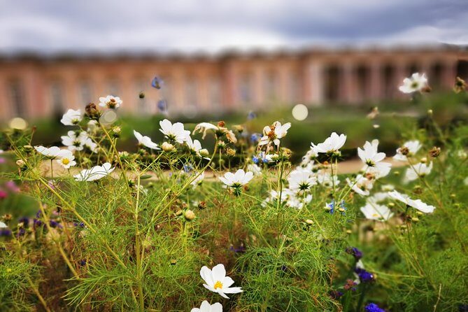 Versailles Full Day Private Guided Tour with Hotel Pickup - Final Thoughts
