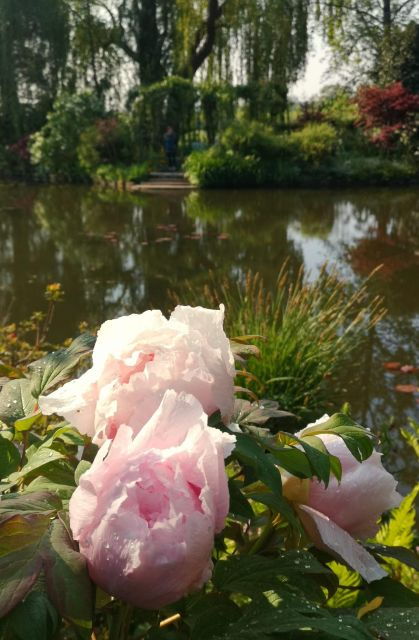 versailles-palace-and-giverny-private-guided-tour-from-paris-2