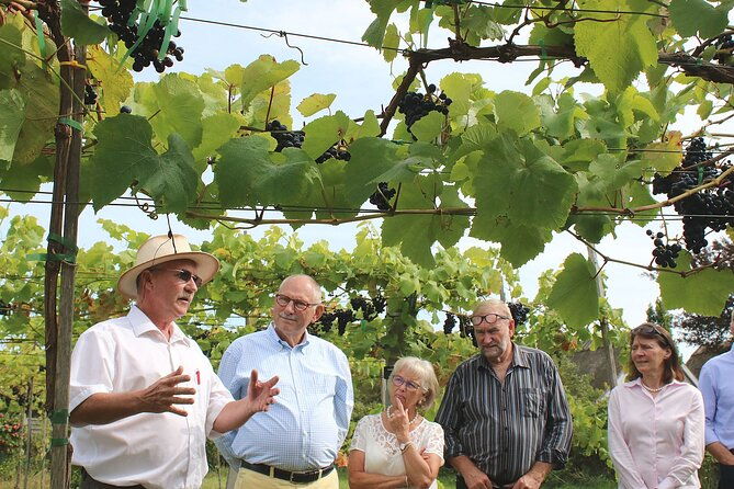 vesterhave-vineyard-and-wine-shop-visit-organically-produced
