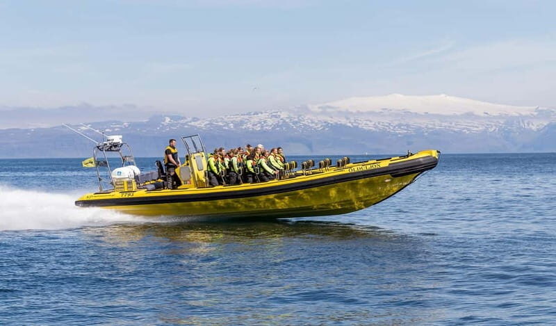 Vestmannaeyjar: 2 hour RIB boat Tour - An In-Depth Look at the 2-Hour RIB Boat Tour