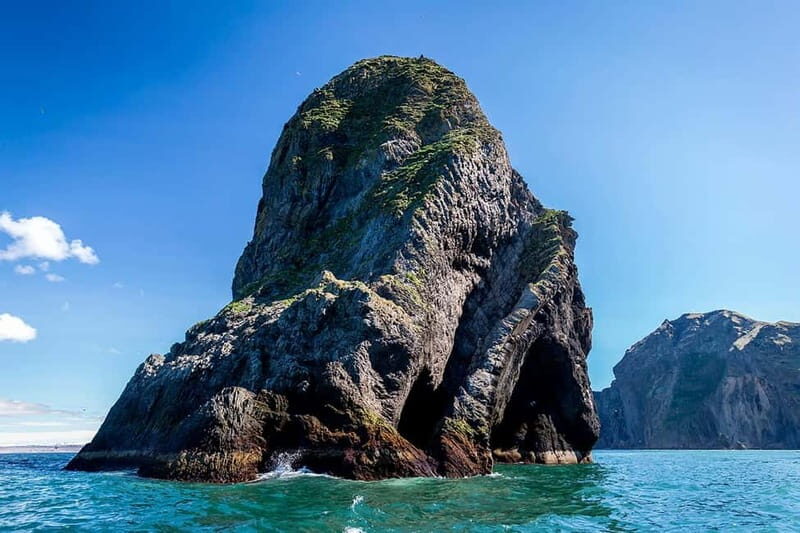Vestmannaeyjar: One Hour Small Islands Trip - A Detailed Look at the Vestmannaeyjar Small Islands Trip
