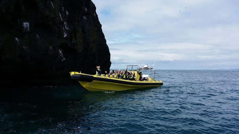Vestmannaeyjar: One Hour Small Islands Trip - The Sum Up
