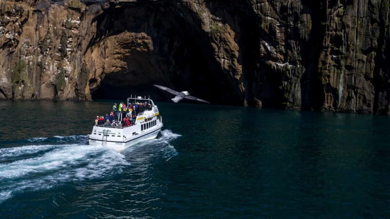Vestmannaeyjar: Puffin, Island, and Volcano Boat Tour - A Well-Organized Departure Point