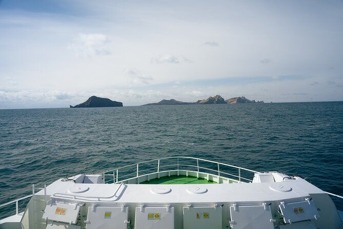 vestmannaeyjar-puffins-volcanoes-small-group-day-tour