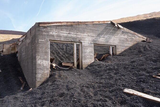 vestmannaeyjar-puffins-volcanoes-small-group-day-tour