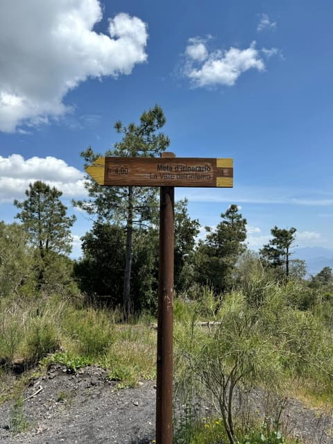 vesuvio-bike-tour-summit-ride-and-entrance-ticket