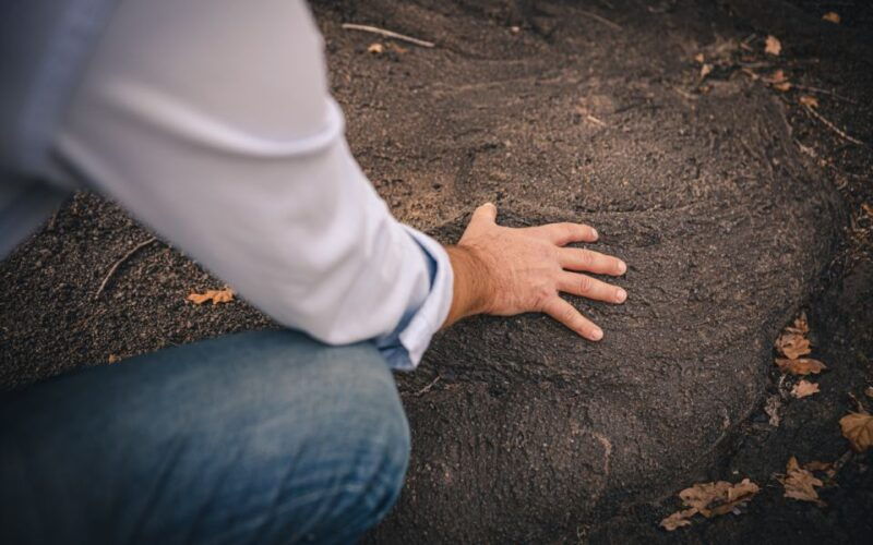 vesuvio-national-park-wine-tasting-tour-with-light-lunch