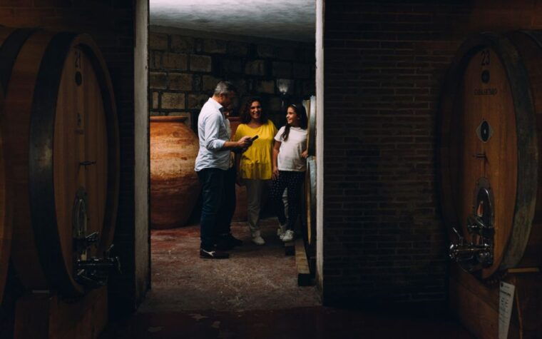 vesuvio-national-park-wine-tasting-tour-with-light-lunch