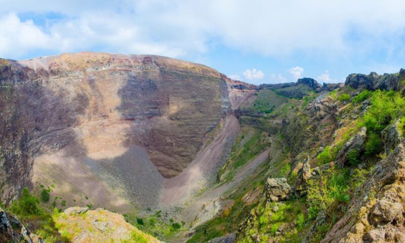 Vesuvio Tour with entrance ticket included - Who Will Love This Tour?  