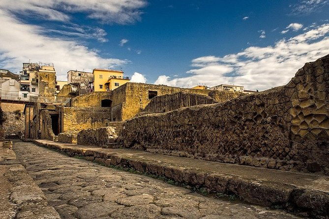 vesuvius-and-herculaneum-day-trip-from-naples-with-skip-the-line-2