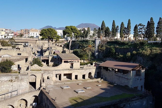 vesuvius-and-herculaneum-day-trip-from-naples-with-skip-the-line-2